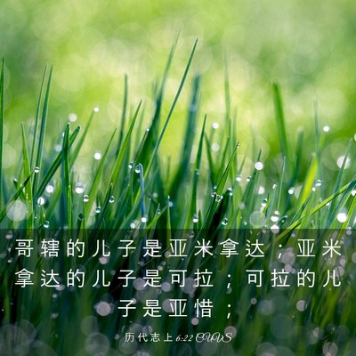Picture 03 - 历 代 志 上 6:22 CUVS - 哥 辖 的 儿 子 是 亚 米 拿 达 ； 亚 - Bible Verse Picture