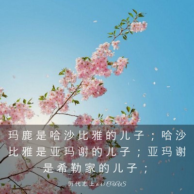 Picture 03 - 历 代 志 上 6:45 CUVS - 玛 鹿 是 哈 沙 比 雅 的 儿 子 ； 哈 - Bible Verse Picture