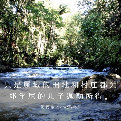 Picture 03 - 历 代 志 上 6:56 CUVS - 只 是 属 城 的 田 地 和 村 庄 都 为 - Bible Verse Picture