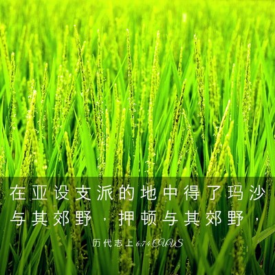 Picture 03 - 历 代 志 上 6:74 CUVS - 在 亚 设 支 派 的 地 中 得 了 玛 沙 - Bible Verse Picture