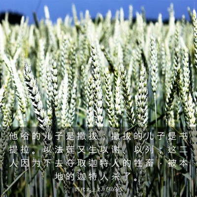 Picture 03 - 历 代 志 上 7:21 CUVS - 他 哈 的 儿 子 是 撒 拔 ； 撒 拔 的 - Bible Verse Picture