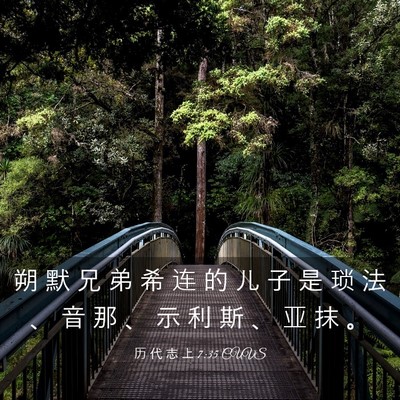 Picture 03 - 历 代 志 上 7:35 CUVS - 朔 默 兄 弟 希 连 的 儿 子 是 琐 法 - Bible Verse Picture