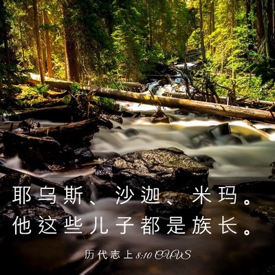 Picture 03 - 历 代 志 上 8:10 CUVS - 耶 乌 斯 、 沙 迦 、 米 玛 。 他 这 - Bible Verse Picture