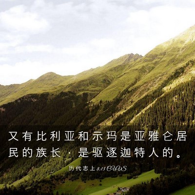 Picture 03 - 历 代 志 上 8:13 CUVS - 又 有 比 利 亚 和 示 玛 是 亚 雅 仑 - Bible Verse Picture