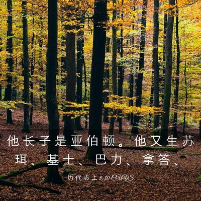 Picture 03 - 历 代 志 上 8:30 CUVS - 他 长 子 是 亚 伯 顿 。 他 又 生 苏 - Bible Verse Picture