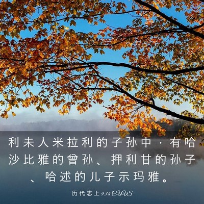 Picture 03 - 历 代 志 上 9:14 CUVS - 利 未 人 米 拉 利 的 子 孙 中 ， 有 - Bible Verse Picture
