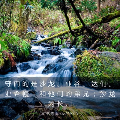 Picture 03 - 历 代 志 上 9:17 CUVS - 守 门 的 是 沙 龙 、 亚 谷 、 达 们 - Bible Verse Picture
