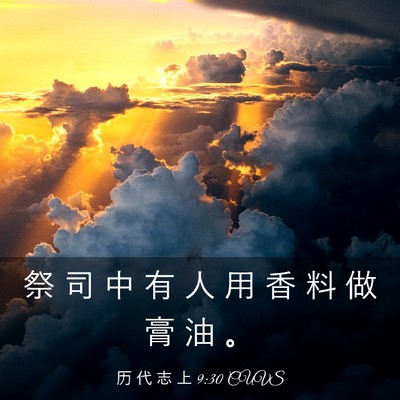 Picture 03 - 历 代 志 上 9:30 CUVS - 祭 司 中 有 人 用 香 料 做 膏 油 - Bible Verse Picture