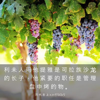 Picture 03 - 历 代 志 上 9:31 CUVS - 利 未 人 玛 他 提 雅 是 可 拉 族 沙 - Bible Verse Picture
