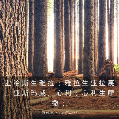 Picture 03 - 历 代 志 上 9:42 CUVS - 亚 哈 斯 生 雅 拉 ； 雅 拉 生 亚 拉 - Bible Verse Picture