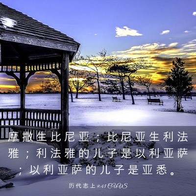 Picture 03 - 历 代 志 上 9:43 CUVS - 摩 撒 生 比 尼 亚 ； 比 尼 亚 生 利 - Bible Verse Picture