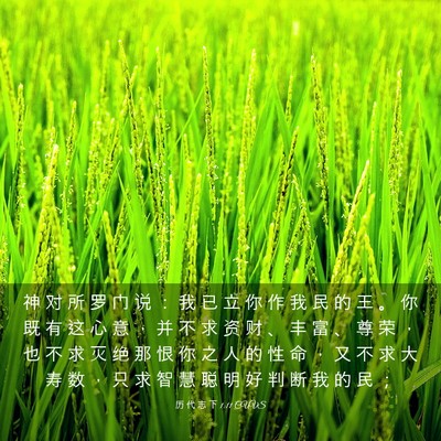Picture 03 - 历 代 志 下 1:11 CUVS - 神 对 所 罗 门 说 ： 我 已 立 你 作 - Bible Verse Picture