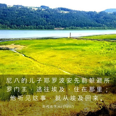 Picture 03 - 历 代 志 下 10:2 CUVS - 尼 八 的 儿 子 耶 罗 波 安 先 前 躲 - Bible Verse Picture