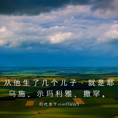 Picture 03 - 历 代 志 下 11:19 CUVS - 从 他 生 了 几 个 儿 子 ， 就 是 耶 - Bible Verse Picture