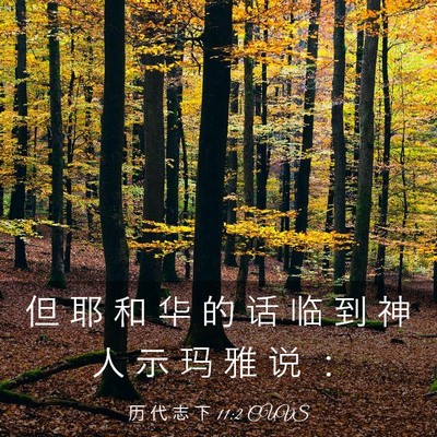 Picture 03 - 历 代 志 下 11:2 CUVS - 但 耶 和 华 的 话 临 到 神 人 示 玛 - Bible Verse Picture