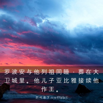 Picture 03 - 历 代 志 下 12:16 CUVS - 罗 波 安 与 他 列 祖 同 睡 ， 葬 在 - Bible Verse Picture
