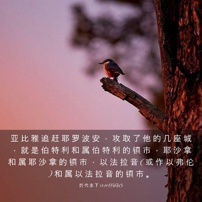 Picture 03 - 历 代 志 下 13:19 CUVS - 亚 比 雅 追 赶 耶 罗 波 安 ， 攻 取 - Bible Verse Picture