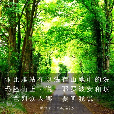 Picture 03 - 历 代 志 下 13:4 CUVS - 亚 比 雅 站 在 以 法 莲 山 地 中 的 - Bible Verse Picture