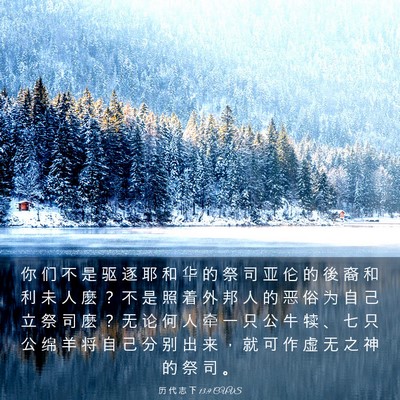 Picture 03 - 历 代 志 下 13:9 CUVS - 你 们 不 是 驱 逐 耶 和 华 的 祭 司 - Bible Verse Picture