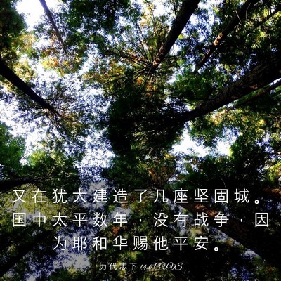 Picture 03 - 历 代 志 下 14:6 CUVS - 又 在 犹 大 建 造 了 几 座 坚 固 城 - Bible Verse Picture