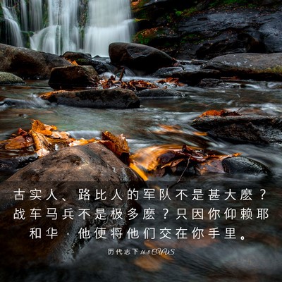 Picture 03 - 历 代 志 下 16:8 CUVS - 古 实 人 、 路 比 人 的 军 队 不 是 - Bible Verse Picture