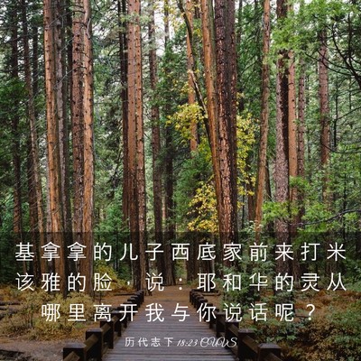 Picture 03 - 历 代 志 下 18:23 CUVS - 基 拿 拿 的 儿 子 西 底 家 前 来 打 - Bible Verse Picture