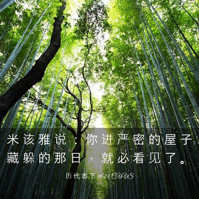 Picture 03 - 历 代 志 下 18:24 CUVS - 米 该 雅 说 ： 你 进 严 密 的 屋 子 - Bible Verse Picture