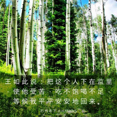 Picture 03 - 历 代 志 下 18:26 CUVS - 王 如 此 说 ： 把 这 个 人 下 在 监 - Bible Verse Picture
