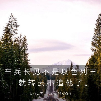 Picture 03 - 历 代 志 下 18:32 CUVS - 车 兵 长 见 不 是 以 色 列 王 ， 就 - Bible Verse Picture