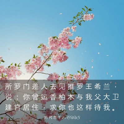 Picture 03 - 历 代 志 下 2:3 CUVS - 所 罗 门 差 人 去 见 推 罗 王 希 兰 - Bible Verse Picture