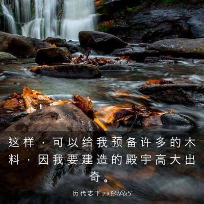 Picture 03 - 历 代 志 下 2:9 CUVS - 这 样 ， 可 以 给 我 预 备 许 多 的 - Bible Verse Picture