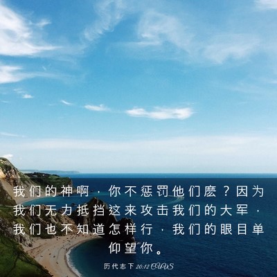 Picture 03 - 历 代 志 下 20:12 CUVS - 我 们 的 神 啊 ， 你 不 惩 罚 他 们 - Bible Verse Picture