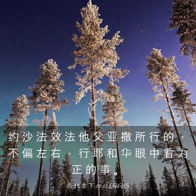 Picture 03 - 历 代 志 下 20:32 CUVS - 约 沙 法 效 法 他 父 亚 撒 所 行 的 - Bible Verse Picture
