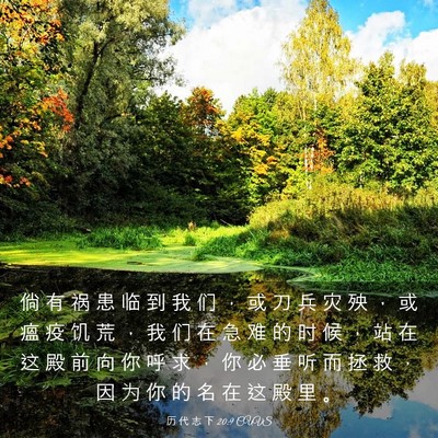 Picture 03 - 历 代 志 下 20:9 CUVS - 倘 有 祸 患 临 到 我 们 ， 或 刀 兵 - Bible Verse Picture
