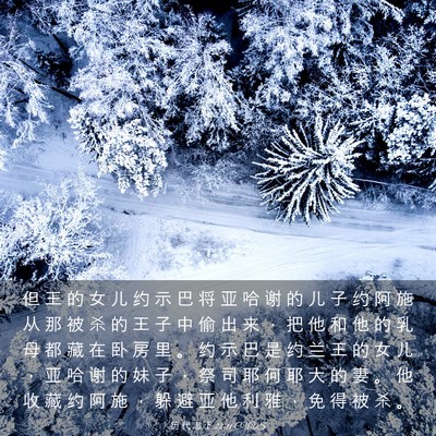 Picture 03 - 历 代 志 下 22:11 CUVS - 但 王 的 女 儿 约 示 巴 将 亚 哈 谢 - Bible Verse Picture