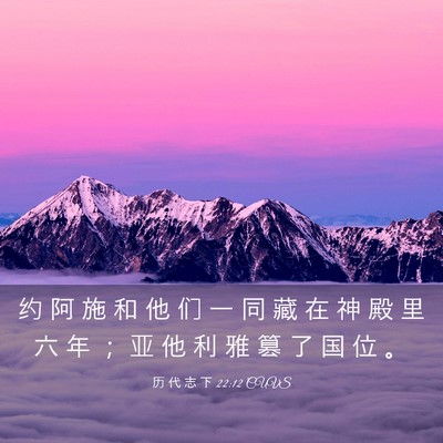 Picture 03 - 历 代 志 下 22:12 CUVS - 约 阿 施 和 他 们 一 同 藏 在 神 殿 - Bible Verse Picture