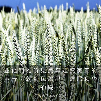 Picture 03 - 历 代 志 下 23:12 CUVS - 亚 他 利 雅 听 见 民 奔 走 赞 美 王 - Bible Verse Picture