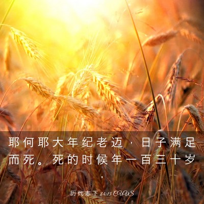 Picture 03 - 历 代 志 下 24:15 CUVS - 耶 何 耶 大 年 纪 老 迈 ， 日 子 满 - Bible Verse Picture
