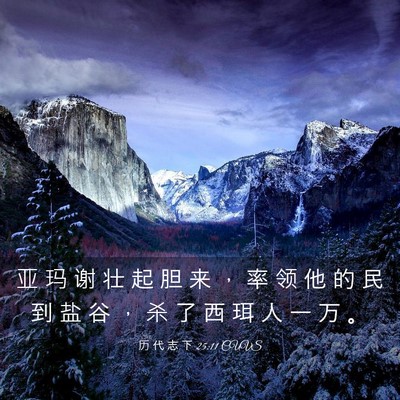 Picture 03 - 历 代 志 下 25:11 CUVS - 亚 玛 谢 壮 起 胆 来 ， 率 领 他 的 - Bible Verse Picture