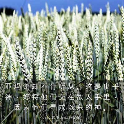 Picture 03 - 历 代 志 下 25:20 CUVS - 亚 玛 谢 却 不 肯 听 从 。 这 是 出 - Bible Verse Picture
