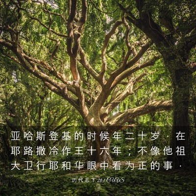 Picture 03 - 历 代 志 下 28:1 CUVS - 亚 哈 斯 登 基 的 时 候 年 二 十 岁 - Bible Verse Picture