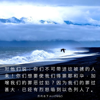 Picture 03 - 历 代 志 下 28:13 CUVS - 对 他 们 说 ： 你 们 不 可 带 进 这 - Bible Verse Picture