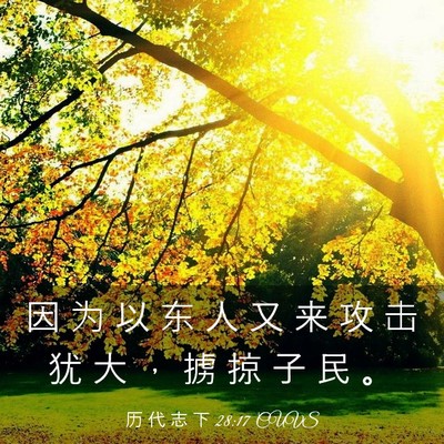 Picture 03 - 历 代 志 下 28:17 CUVS - 因 为 以 东 人 又 来 攻 击 犹 大 ， - Bible Verse Picture