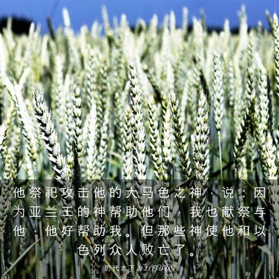 Picture 03 - 历 代 志 下 28:23 CUVS - 他 祭 祀 攻 击 他 的 大 马 色 之 神 - Bible Verse Picture