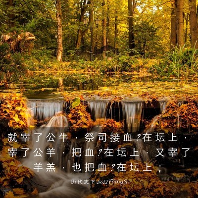 Picture 03 - 历 代 志 下 29:22 CUVS - 就 宰 了 公 牛 ， 祭 司 接 血 ? 在 坛 - Bible Verse Picture