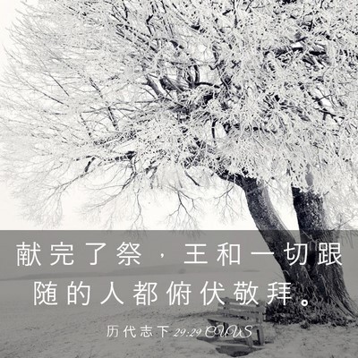 Picture 03 - 历 代 志 下 29:29 CUVS - 献 完 了 祭 ， 王 和 一 切 跟 随 的 - Bible Verse Picture