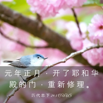 Picture 03 - 历 代 志 下 29:3 CUVS - 元 年 正 月 ， 开 了 耶 和 华 殿 的 - Bible Verse Picture