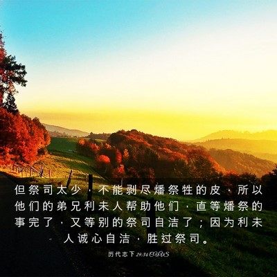 Picture 03 - 历 代 志 下 29:34 CUVS - 但 祭 司 太 少 ， 不 能 剥 尽 燔 祭 - Bible Verse Picture
