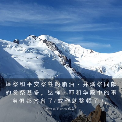 Picture 03 - 历 代 志 下 29:35 CUVS - 燔 祭 和 平 安 祭 牲 的 脂 油 ， 并 - Bible Verse Picture