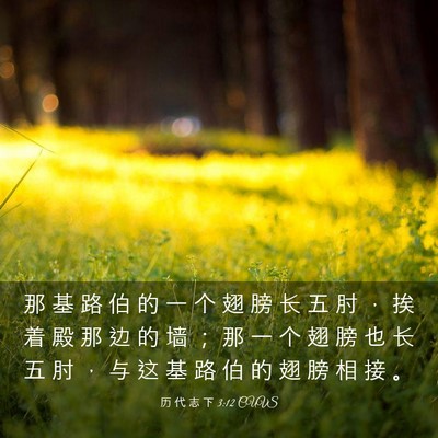 Picture 03 - 历 代 志 下 3:12 CUVS - 那 基 路 伯 的 一 个 翅 膀 长 五 肘 - Bible Verse Picture
